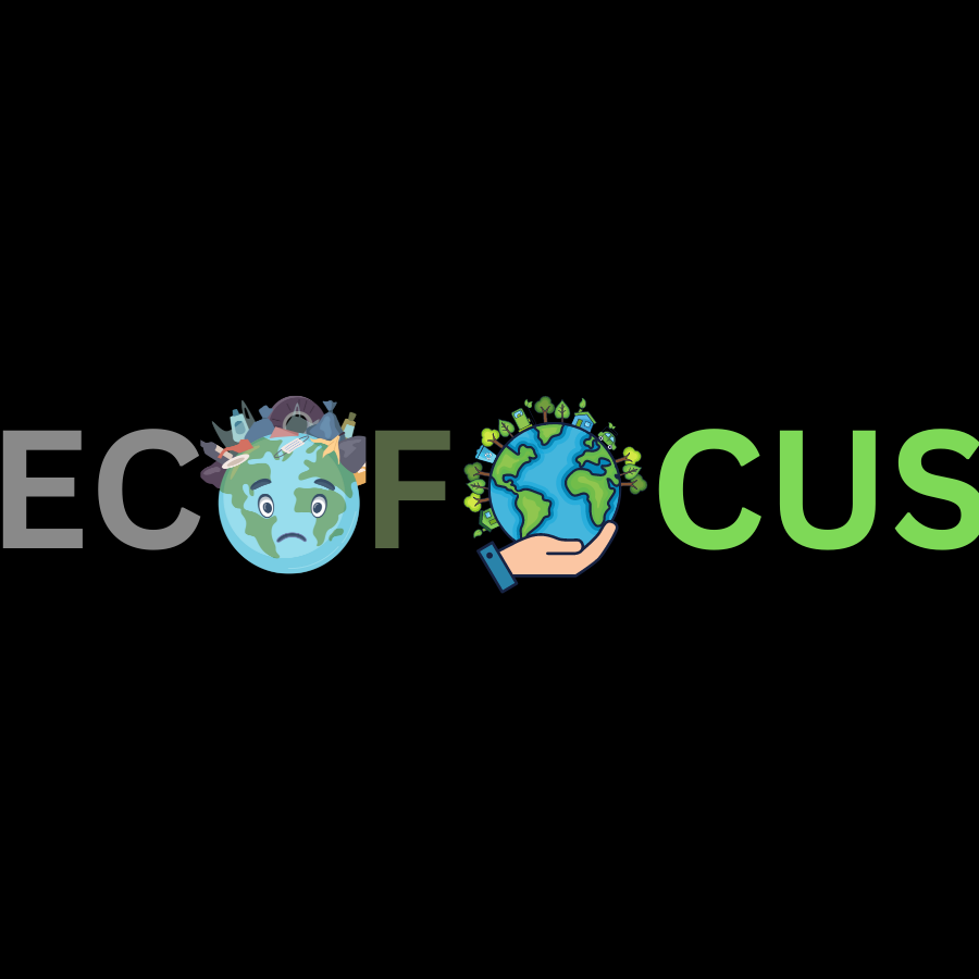 About Ecofocuss